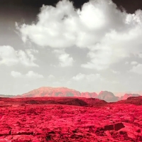 Фотографии